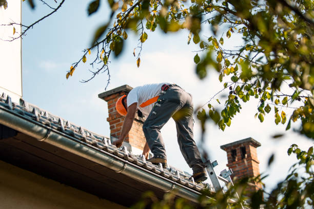 Best Roof Ventilation Installation  in Pioneer, OH